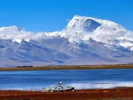 可可西里可以去旅游吗_28岁遭遇可可西里狼群分食