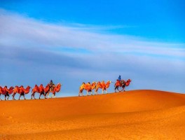 「西北旅游咨询」西北旅游咨询电话号码✅