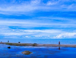 青海湖,简介_青海湖简介200字