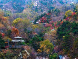 「北京去西北自驾旅游攻略」北京去西北自驾旅游攻略路线✅