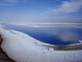 察尔汗盐湖的盐_察尔汗盐湖的盐好吗
