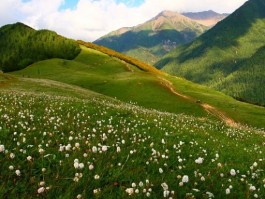 「北方4月份适合旅游的地方」北方4月份适合旅游的地方有哪些✅