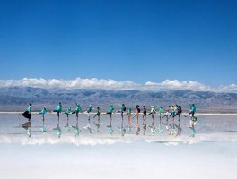 青甘大环线旅游团_青甘大环线旅游团推荐