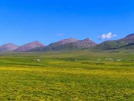 祁连山草原风光_祁连山草原风光介绍