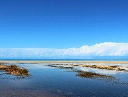 青海湖海拔有多少?_青海湖海拔有多少米高度