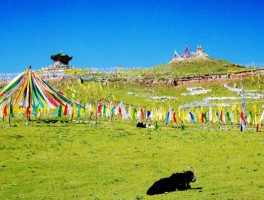 西宁旅游攻略景点必去的地方推荐_西宁旅游攻略景点必去的地方推荐图片