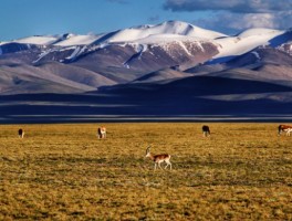 可可西里可以旅游吗_可可西里旅游线路