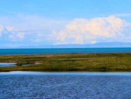 青海湖咸水还是淡水_青海湖水是咸的还是淡的