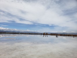 茶卡盐湖景点攻略_茶卡盐湖旅游攻略路线