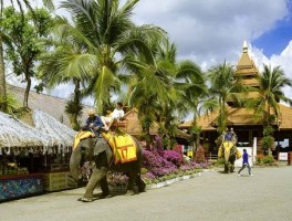 「曼谷旅游要找旅行社吗」曼谷旅游要找旅行社吗现在✅