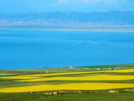 青海湖面积大约多少_青海湖面积大约多少公顷