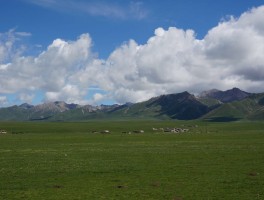 祁连山草原哪里最美_祁连山最美的地方