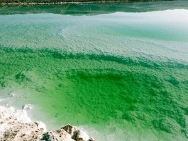 察尔汗盐湖海拔多少_察尔汗盐湖的地理位置