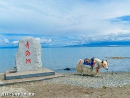 青海湖旅游攻略实用详细版视频_青海湖旅游视频