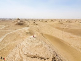 青海南八仙雅丹地貌简介_南八仙和雅丹国家地质公园