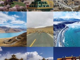广州到西藏火车旅游攻略和费用的简单介绍