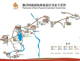 从重庆到胡杨林旅游攻略最佳路线图_从重庆到胡杨林旅游攻略最佳路线图片