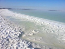 察尔汗盐湖的盐_察尔汗湖盐质量如何
