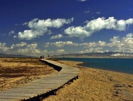 青海湖海拔有多高,有些什么景点可以玩_青海湖海拔有多高,有些什么景点可以玩的