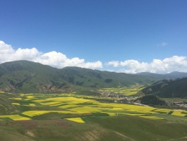 祁连山草原风光_祁连山草原风光图片大全