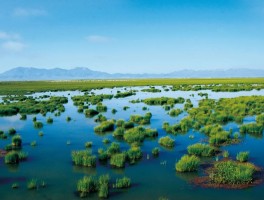 青海湖面积_青海湖面积达4635平方千米