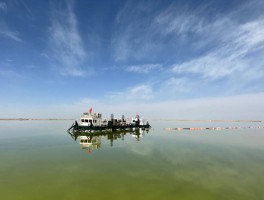 包含察尔汗盐湖旅游资源开发项目一期工程共多少企业投标的词条